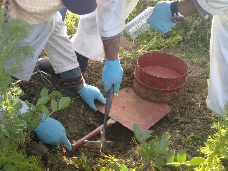Реферат: Борьба с эрозией почв